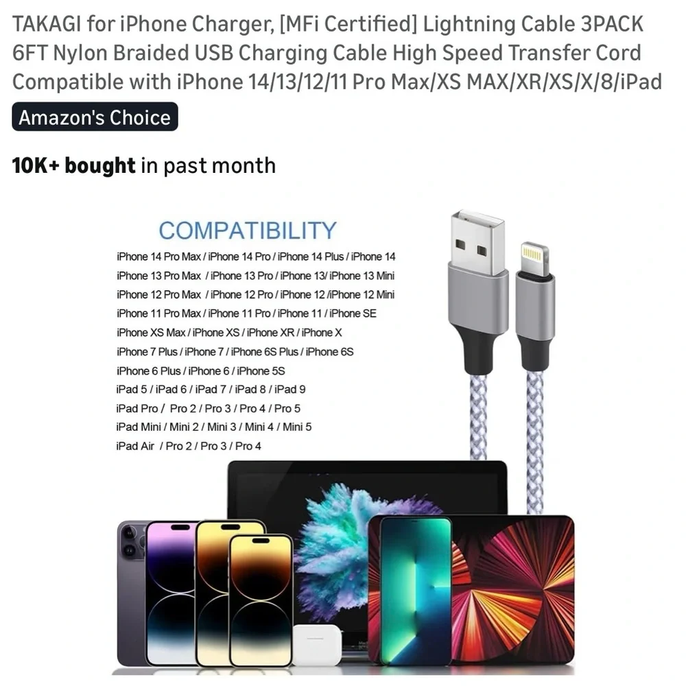 TAKAGI 6ft Silver Braided Lightning Cable 1-Pack, iPhone Charger